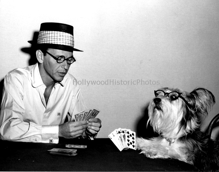 Frank Sinatra 1955 Playing cards with his dog Butch on the set of The Tender Trap.jpg
